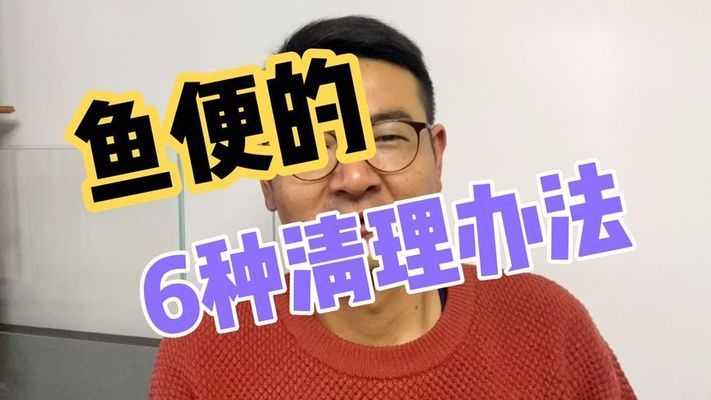 鱼缸里的鱼便怎么办，如何自制鱼缸吸便工具 龙鱼百科 第1张