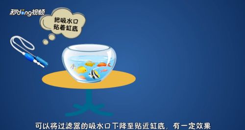 鱼缸里的鱼便怎么办，如何自制鱼缸吸便工具 龙鱼百科 第3张