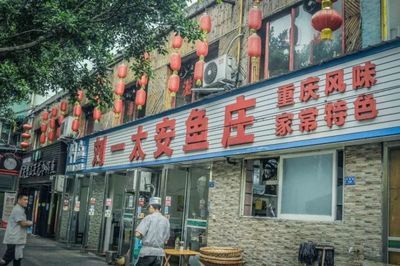 成都金龙鱼港咋样，成都金龙渔港周末聚餐推荐金龙渔港海鲜种类对比