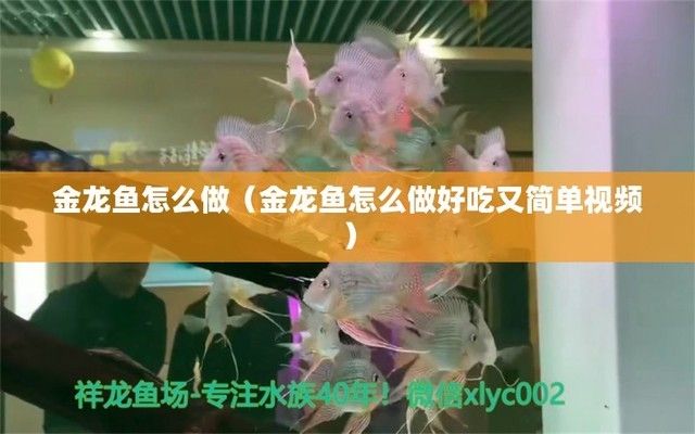 河北金龙鱼做菜，关于金龙鱼烹饪的基本知识和技巧