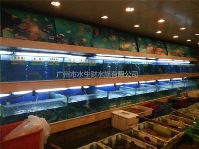 广州花地湾水族批发市场，广州花地湾水族市场特色商品,花地湾市场周边交通指南