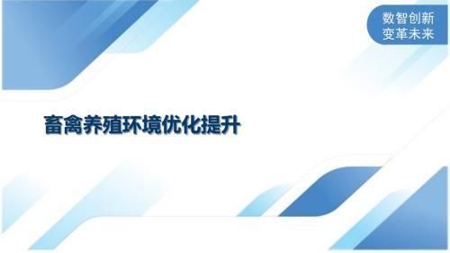 龙鱼被吓到了不吃怎么办呢，龙鱼被吓到不吃东西怎么办？