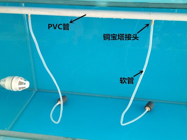 鱼缸增氧泵间隔多长时间启动一次，增氧泵维护周期如何判断鱼缸缺氧增氧泵品牌推荐 龙鱼百科 第3张