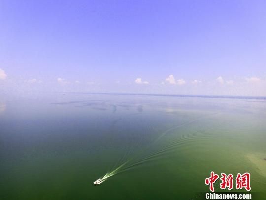 扶风县水族鱼缸店，扶风县水族鱼缸店详细介绍扶风县水族鱼缸店详细介绍