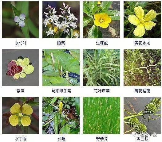 深圳市虎鲸生物科技有限公司，深圳市虎鲸生物科技有限公司经营项目介绍