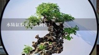 鹅卵石制作鱼缸景观效果图 龙鱼百科 第6张