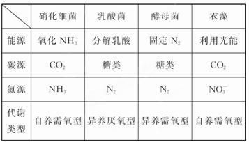 成都竹芯园林景观设计有限公司，成都竹芯园林景观设计有限公司专注于提供专业的园林景观设计服务