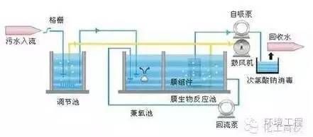 魟鱼适宜水温和调节技巧，魟鱼适宜的水温和调节技巧