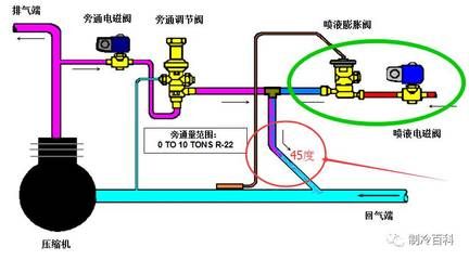 魟鱼适宜水温和调节技巧，魟鱼适宜的水温和调节技巧 龙鱼百科 第2张