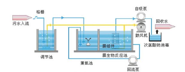 魟鱼适宜水温和调节技巧，魟鱼适宜的水温和调节技巧 龙鱼百科 第3张