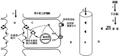 魟鱼适宜水温和调节技巧，魟鱼适宜的水温和调节技巧 龙鱼百科 第5张