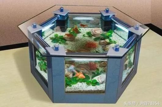 达拉特旗创美壁挂水族店，内蒙古达拉特旗创美壁挂水族店详细介绍