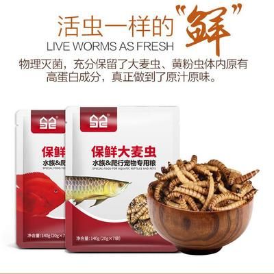 罗汉鱼饲料成分对比，罗汉鱼饲料成分对鱼类生长的影响 龙鱼百科 第3张