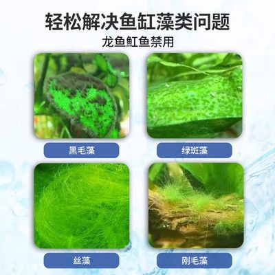 龙鱼缸怎么除藻，龙鱼缸的藻类问题怎么办 鱼缸百科 第5张