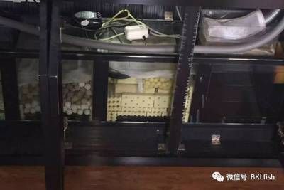 龙鱼缸过滤材料用什么好，如何自制龙鱼缸过滤器