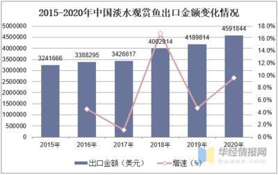 龙鱼养殖技术最新进展，观赏鱼养殖技术的最新进展