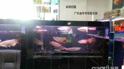 龙鱼鱼缸推荐品种有哪些种类，闽江水族鱼缸价格区间查询森森龙鱼缸尺寸选择指南 鱼缸百科 第1张