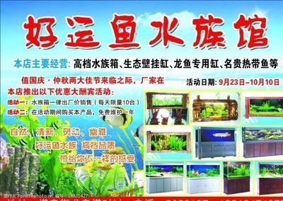 龙鱼鱼缸推荐品种有哪些种类，闽江水族鱼缸价格区间查询森森龙鱼缸尺寸选择指南 鱼缸百科 第3张