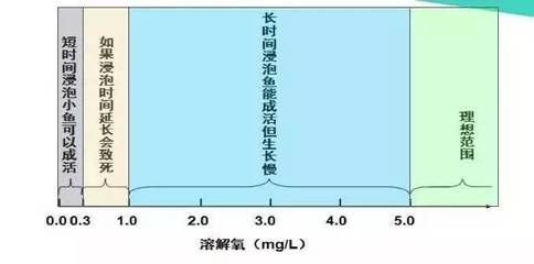 鱼苗最佳溶解氧浓度范围，鱼苗最佳溶解氧浓度范围为5-7mg/l 观赏鱼市场（混养鱼） 第4张