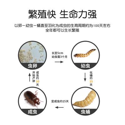 如何判断龙鱼饲料新鲜度，如何判断龙鱼饲料的新鲜度 观赏鱼市场（混养鱼） 第5张