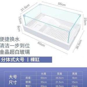 六角恐龙鱼缸怎么布置是别墅，六角恐龙鱼缸布置建议 鱼缸百科 第5张