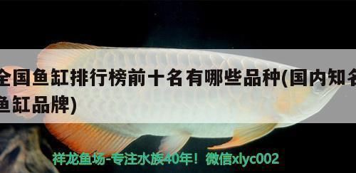 龙鱼鱼缸排行榜前十名品种，龙鱼鱼缸品牌性价比排行榜前十名鱼缸品牌性价比排行 鱼缸百科 第5张