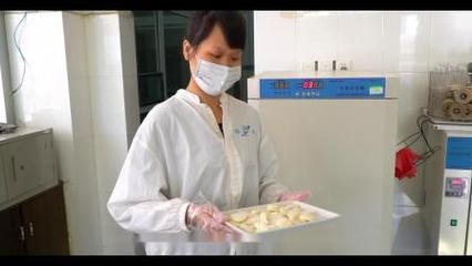 福龙冷冻食品技术创新成果，福龙冷冻食品专利技术应用 观赏鱼市场（混养鱼） 第5张