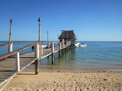 奥里诺科河流域生物多样性研究，奥里诺科河流域的生物多样性 观赏鱼市场（混养鱼） 第4张