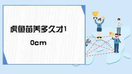 虎鱼苗生长速度影响因素，如何改善虎鱼苗水质，虎鱼苗饵料种类选择 虎鱼百科 第2张