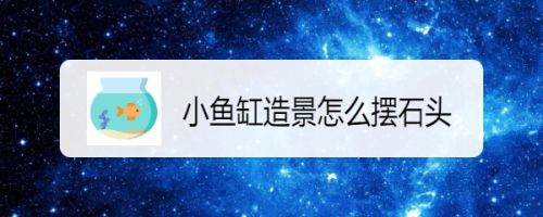 鱼缸造景中岩石布置技巧，如何利用岩石创造鱼缸层次感 虎鱼百科 第6张