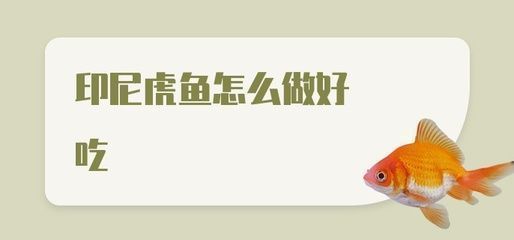 四纹虎鱼饲料与活饵的营养对比，四纹虎鱼饲料和活饵在营养成分上有一定的相似性 虎鱼百科 第2张