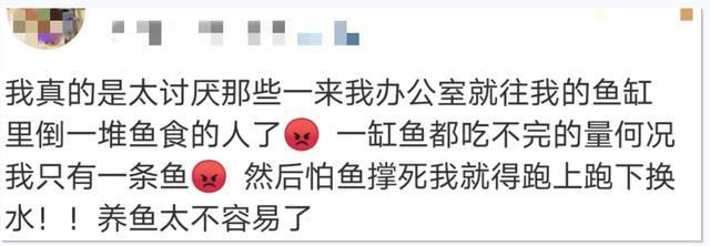 龙鱼的鱼缸需要打多久的氧气泵，龙鱼鱼缸是否需要24小时开启氧气泵 鱼缸百科 第5张