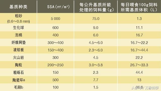 双线侧鱼繁殖水质管理方法，双线侧鱼繁殖期间的水质管理方法 观赏鱼市场（混养鱼） 第2张