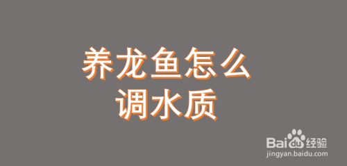 龙鱼缸水质不好怎么处理方法，如何判断龙鱼缸需换水 鱼缸百科 第4张