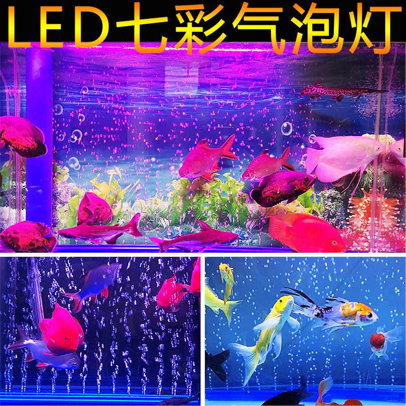 水族灯最佳照明时间设置 观赏鱼市场（混养鱼） 第3张