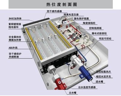 帝王血钻能和龙鱼混养吗图片，帝王血钻与龙鱼混养需要注意哪些细节帝王血钻可能会释放有毒物质 水族问答