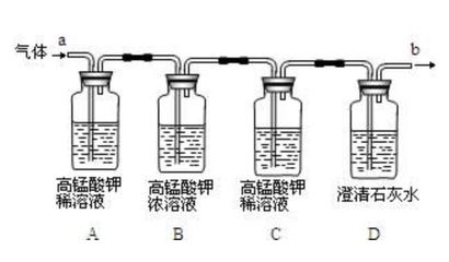 可以混养的雷龙鱼图片，混养雷龙鱼需要注意哪些问题？ 水族问答