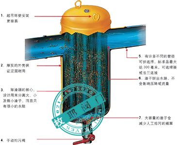 底部过滤器安装注意事项，底部过滤器的安装是确保水处理系统正常运行的关键步骤 观赏鱼市场（混养鱼） 第5张