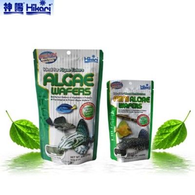 黄金斑马饲料品牌推荐，趣乐多德国莫斯特绿意、fishbio、fishbio饲料品牌推荐 观赏鱼市场（混养鱼） 第5张