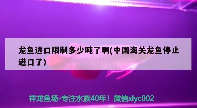 龙鱼停止进口的原因有哪些，龙鱼停止进口原因主要包括以下几个方面包括以下几个方面