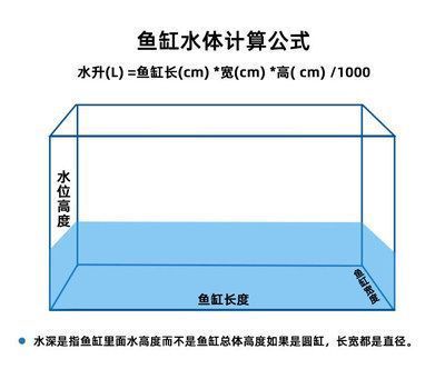 龙鱼鱼缸水位多少合适呢怎么摆放，养龙鱼的水位高度应该控制在30-50厘米之间