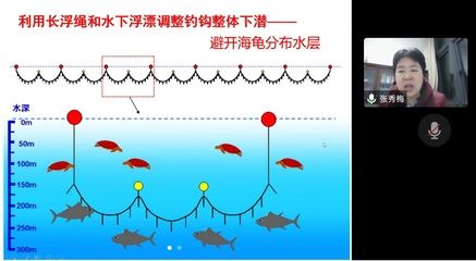 大日玉鲭鱼繁殖缸水草选择，大日玉鲭鱼繁殖缸水草选择指南 观赏鱼市场（混养鱼） 第3张