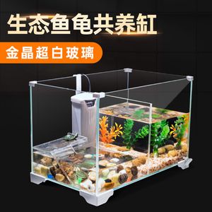 四纹虎混养水族箱过滤系统设计，四纹虎混养水族箱过滤系统