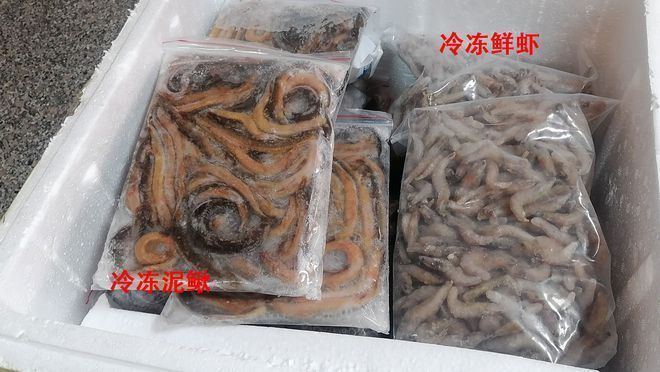 巴西鱼苗饲料选择指南，巴西鱼苗的饲料选择是确保其健康成长的关键因素之一 观赏鱼市场（混养鱼） 第3张