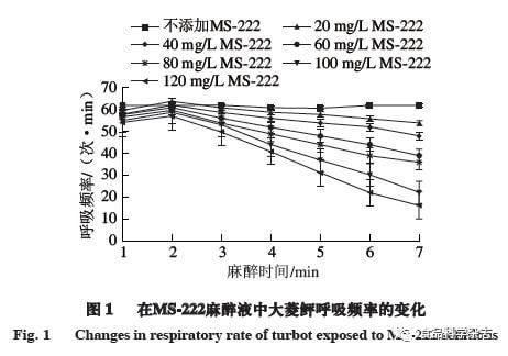 MS-222对淡水鱼与海水鱼麻醉效果差异，ms-222对加州鲈鱼的麻醉效果存在差异 观赏鱼市场（混养鱼） 第1张