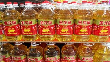 金龙鱼怎么选择品相好，如何鉴别金龙鱼畸形 龙鱼百科 第4张