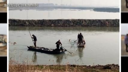 恐龙鱼吃食视频教程，如何饲养恐龙鱼 水族问答