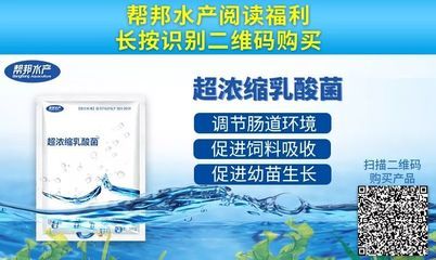 黄鳍鲳鱼日常饲料选择，黄鳍鲳鱼的日常饲料选择应考虑其生长阶段和水质情况 观赏鱼市场（混养鱼） 第3张