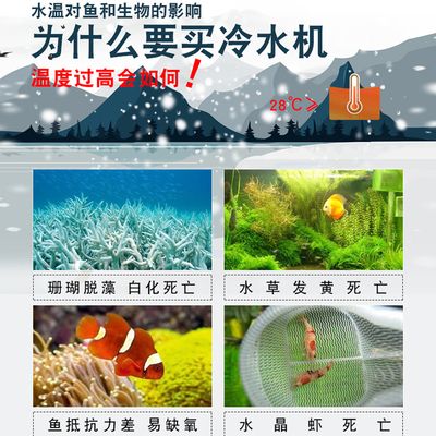 水族箱降温设备选购指南，水族箱降温设备怎么选 观赏鱼市场（混养鱼） 第1张