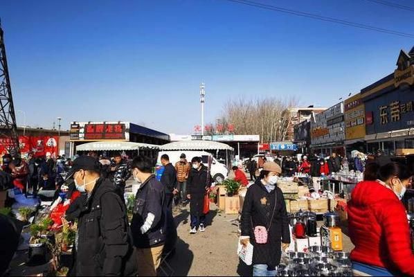 天津水族批发市场特色品种介绍，天津水族批发市场特殊品种介绍水族市场特殊品种价格对比 虎鱼百科 第5张